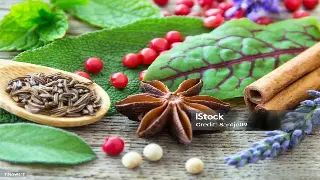 合肥桑拿按摩文化历史：解读身心放松背后的文化意义 图片