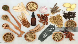 合肥桑拿按摩深度体验：身心放松心得总结与服务感受 图片