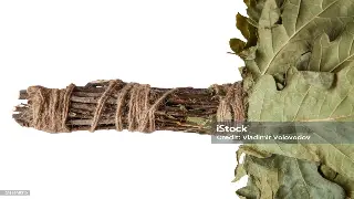 合肥按摩私藏攻略：告别腰酸背痛，解锁身心SPA新体验！