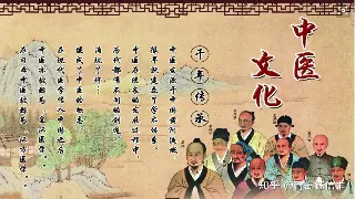 合肥桑拿新风尚：不只是放松，更是文化体验与健康投资！