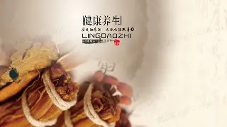 告别酸痛！合肥上班族必备的自我按摩“独门秘籍”